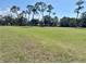 Large green space with trees and partial buildings in background at 1210 E Sligh Ave, Tampa, FL 33604