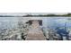 Wooden dock extending into a calm lake with lily pads and a peaceful setting at 2050 W Bearss Ave, Tampa, FL 33618