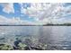 Expansive lake view featuring calm waters, lily pads, and a distant shoreline at 2050 W Bearss Ave, Tampa, FL 33618