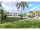 Lush backyard with mature palm trees and easy access to the waterway and private boat dock at 320 Georgia Ave, Crystal Beach, FL 34681