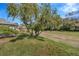 Spacious, green backyard showcases a mature Bottlebrush tree with bright red flowers in full bloom at 37157 Foxrun Pl, Zephyrhills, FL 33542