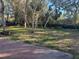 Backyard with trees and shrubs at 6347 S Lansdale Cir, Tampa, FL 33616