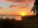 Scenic sunset view over the water, framed by lush foliage, offers a tranquil and picturesque setting at 6365 Bahia Del Mar Blvd # 112, St Petersburg, FL 33715