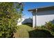 Narrow side yard with healthy green grass and white vinyl fence at 1091 Mcfarland St, Dunedin, FL 34698