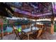 Outdoor dining area in tiki hut with granite table, grill, TV and beautiful water view at 1336 51St Ne Ave, St Petersburg, FL 33703