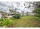 Expansive backyard with lush greenery, mature trees, a cozy patio area, and a white pergola near the pool area at 2086 Whitney N Pl, Clearwater, FL 33760