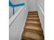 Carpeted staircase with white walls leading to the second floor at 19609 Timberbluff Dr, Land O Lakes, FL 34638