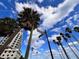 Street view of intersection showing palms and a building under a bright blue sky at 2401 Bayshore Blvd # 101, Tampa, FL 33629
