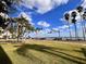 Scenic street view with palm trees and a glimpse of the bay in the background, perfect for coastal living at 2401 Bayshore Blvd # 101, Tampa, FL 33629