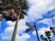 Street view of a palm-lined street corner under a bright blue sky with scattered clouds at 2401 Bayshore Blvd # 101, Tampa, FL 33629