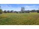 A view of a spacious backyard with ample room for various activities at 3307 Fox Ridge Blvd, Wesley Chapel, FL 33543