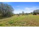 View of a large grassy backyard featuring a swing set and scattered trees at 3307 Fox Ridge Blvd, Wesley Chapel, FL 33543