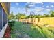 Lush backyard featuring a manicured lawn and a wooden fence providing privacy and curb appeal at 349 Shirley Ave, Belleair, FL 33756