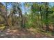 View of the trees and brush in the backyard of the property at 4421 Larkenheath Dr, Spring Hill, FL 34609