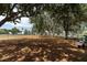 A fenced dog park with wood chips provides a safe space for dogs to play at 219 126Th Ave, Treasure Island, FL 33706