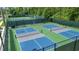 Pickleball courts with green and blue surfaces surrounded by tall trees in this active community at 29307 Schinnecock Hills Ln, San Antonio, FL 33576