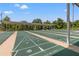 Outdoor shuffleboard courts in a shaded area with clear markings for easy play at 29307 Schinnecock Hills Ln, San Antonio, FL 33576