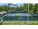 Exterior shot of tennis courts, palm trees, and lush greenery at Tampa Bay Golf and Country Club at 29307 Schinnecock Hills Ln, San Antonio, FL 33576