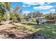 Spacious front yard with green grass, mature trees, a pergola, and a charming single-story home at 472 Pine St, Tarpon Springs, FL 34689