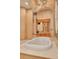 Luxurious bathroom featuring a large soaking tub, decorative column and wood vanity with framed mirror at 4873 Quill Ct, Palm Harbor, FL 34685