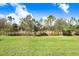 Large grassy backyard with trees and plants at 6307 113Th E Ter, Parrish, FL 34219