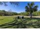 Expansive backyard with lush green grass and mature trees. Beautiful and tranquil at 7284 Pebble Beach Ln, Seminole, FL 33777