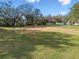 Large open space with green grass, an ideal space for outdoor activities at 8408 Bob Wiggs Ave, Lithia, FL 33547