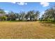 Sprawling yard with a variety of mature trees at 8408 Bob Wiggs Ave, Lithia, FL 33547