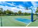 Outdoor basketball court with well-maintained green and blue playing surface at 8731 Boysenberry Dr, Tampa, FL 33635