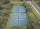 Aerial view of well-maintained tennis courts surrounded by lush greenery at 8731 Boysenberry Dr, Tampa, FL 33635