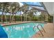 Screened pool with palm tree views and pool ladder at 710 Treasure Boat Way, Sarasota, FL 34242