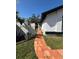 Walkway lined with lush landscaping leading to the front entrance of the house at 8706 N Boulevard, Tampa, FL 33604