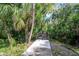 Tranquil wooden boardwalk surrounded by lush tropical foliage, offering a peaceful and scenic walking experience at 1002 Vineyard Ln, Oldsmar, FL 34677