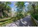 Picturesque wooden boardwalk winding through lush foliage and towering trees, offering a serene nature walk experience at 1002 Vineyard Ln, Oldsmar, FL 34677