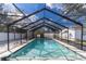 Screened-in pool boasts crystal-clear water, tiled edges, and ample space for relaxation and recreation at 13508 Greenleaf Dr, Tampa, FL 33613