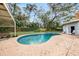 Sparkling pool with lounge chairs, mature trees, and a backyard bench, perfect for relaxing at 14803 Tulip Dr, Tampa, FL 33613