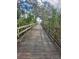 Scenic wooden walking bridge surrounded by lush greenery, offering a tranquil outdoor experience and views at 2209 Canterbury Ln, Sun City Center, FL 33573