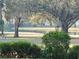 Beautiful backyard view of pond and trees, creating a serene and private outdoor setting at 29318 Whipporwill Ln, Wesley Chapel, FL 33543