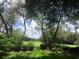 Serene backyard view of a well-manicured lawn, lush trees, and a clear blue sky with fluffy clouds at 29318 Whipporwill Ln, Wesley Chapel, FL 33543