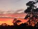 Beautiful sunset view featuring silhouetted trees and a colorful sky at 29318 Whipporwill Ln, Wesley Chapel, FL 33543