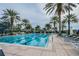 Community pool with palm trees and lounge chairs, providing a resort-like atmosphere for relaxation and recreation at 310 Blackrock Ln, Apollo Beach, FL 33572