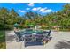 Beautiful pool and patio surrounded by lush tropical landscaping provides a private oasis for relaxation at 140 Miramar Ne Blvd, St Petersburg, FL 33704