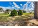 Lush backyard with trees and grass at 185 New England Ave # 33, Palm Harbor, FL 34684