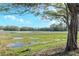 Scenic view of the property showcasing the natural landscape at 3206 Duchess Ct, Plant City, FL 33565