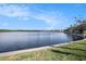 Scenic waterfront view with lush green grass, a seawall, and beautiful blue sky and puffy white clouds at 3266 Mangrove Point Dr, Ruskin, FL 33570