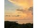 Waterfront home with a golden sunset view over the ocean and trees at 3266 Mangrove Point Dr, Ruskin, FL 33570