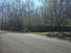 Expansive lot with mature trees and a fire hydrant at 3801 Bramblewood Blvd, Land O Lakes, FL 34639