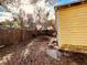 Backyard with wooden fence and palm trees at 2734 53Rd N Ave, St Petersburg, FL 33714