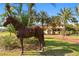 Spanish-style home with courtyard and fountain, surrounded by palm trees at 33642 Blanton Rd, Dade City, FL 33523