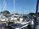 Boats docked at a marina on a sunny day at 109 Wateredge Ct, Safety Harbor, FL 34695